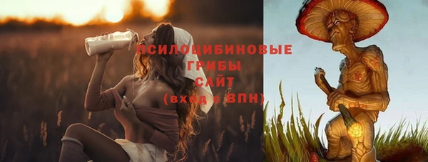 прущие крисы Алексин