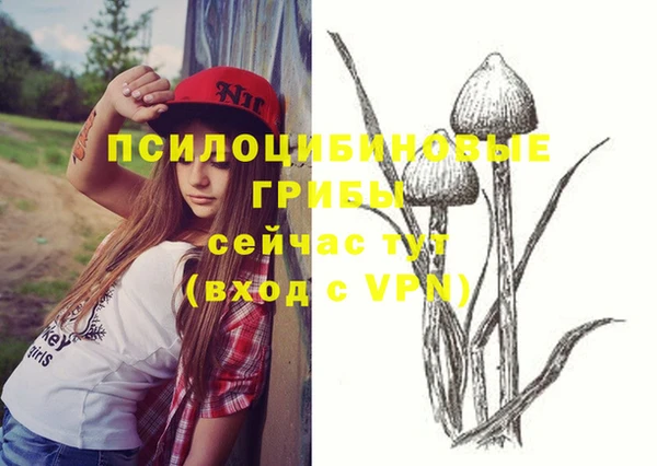 амф Алзамай